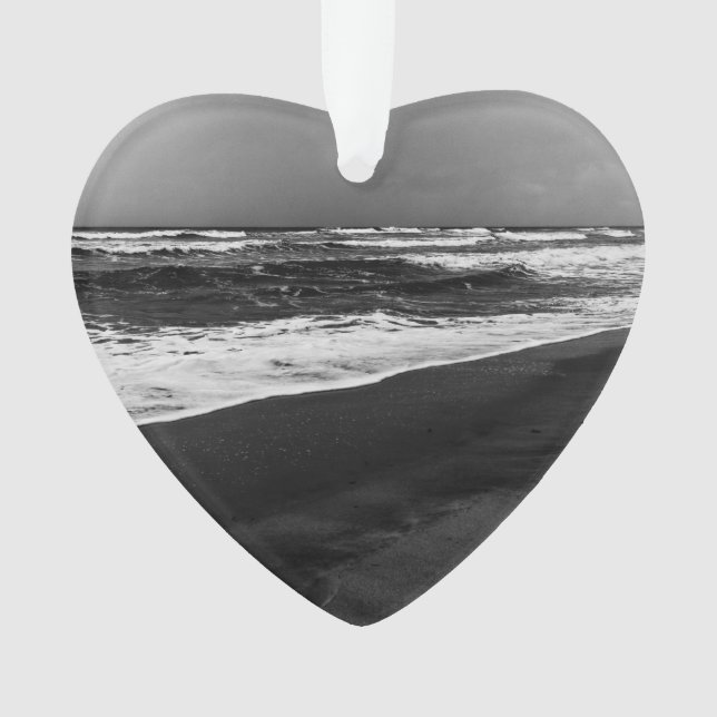 sea (devant)