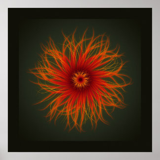 Sea Anemone - impression
