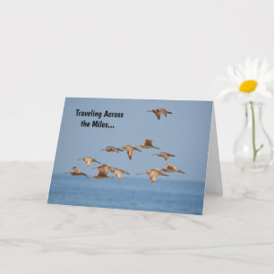 Sea Birds Vol Nice Pun Carte Anniversaire
