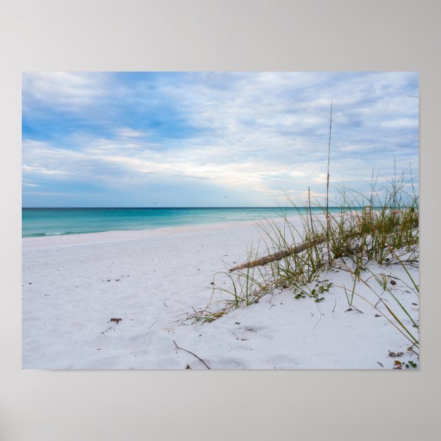 Sea Oats And White Sand Beach Morning Poster (Devant)