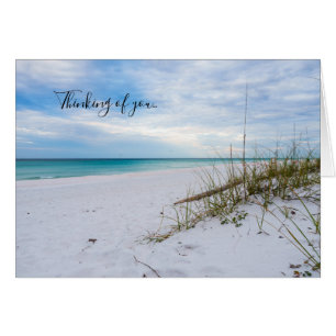 Sea Oats White Sand Beach Morning Penser Carte U