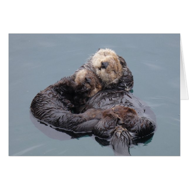 Sea Otter Mom and Pup (Devant horizontal)