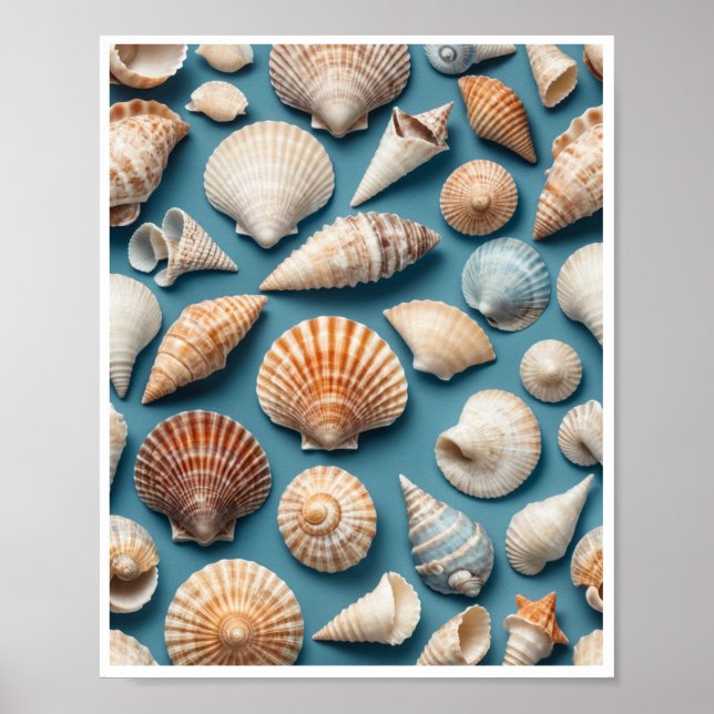 Sea Shell Wall Art Home Décor Room Poster (Devant)
