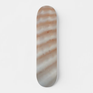 Sea Shells Summer Beach Exotic Tropical Skateboard