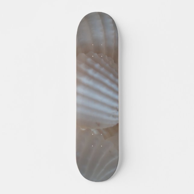 Sea Shells Summer Beach Exotic Tropical Skateboard (Devant)