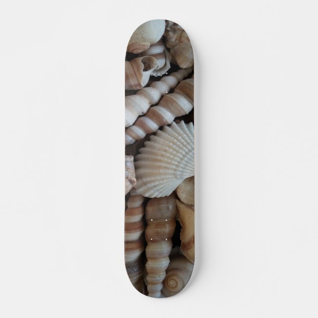 Sea Shells Summer Beach Exotic Tropical Skateboard (Devant)