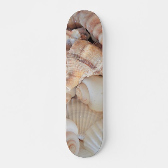 Sea Shells Summer Beach Exotic Tropical Skateboard (Devant)