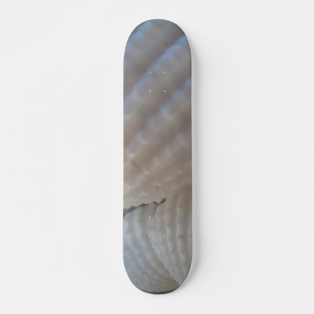 Sea Shells Summer Beach Exotic Tropical Skateboard (Devant)