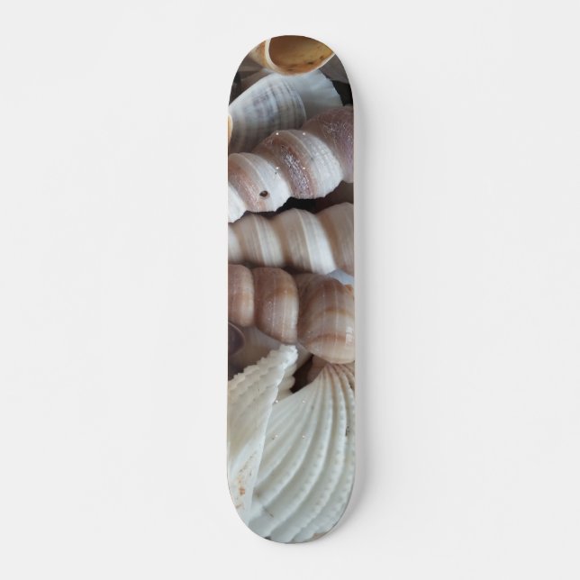 Sea Shells Summer Beach Exotic Tropical Skateboard (Devant)