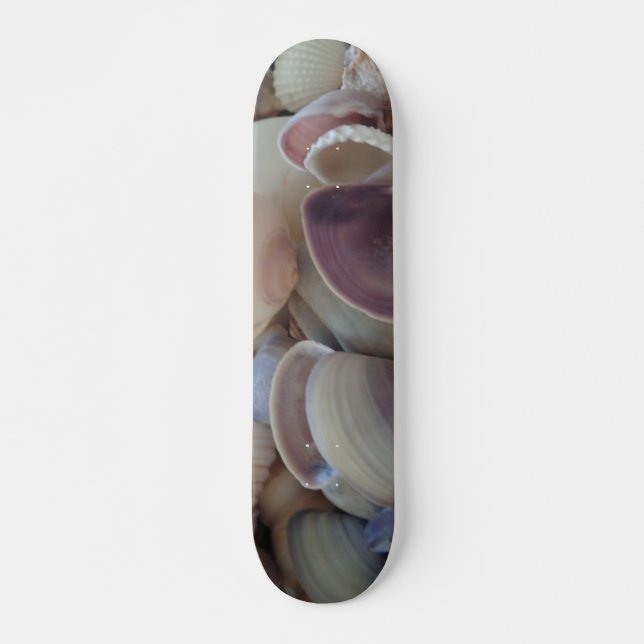 Sea Shells Summer Beach Exotic Tropical Skateboard (Devant)
