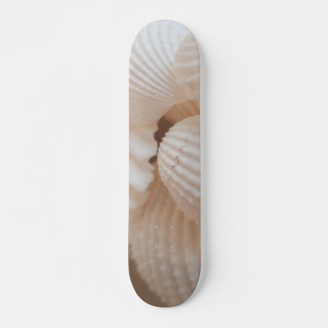 Sea Shells Summer Beach Exotic Tropical Skateboard (Devant)