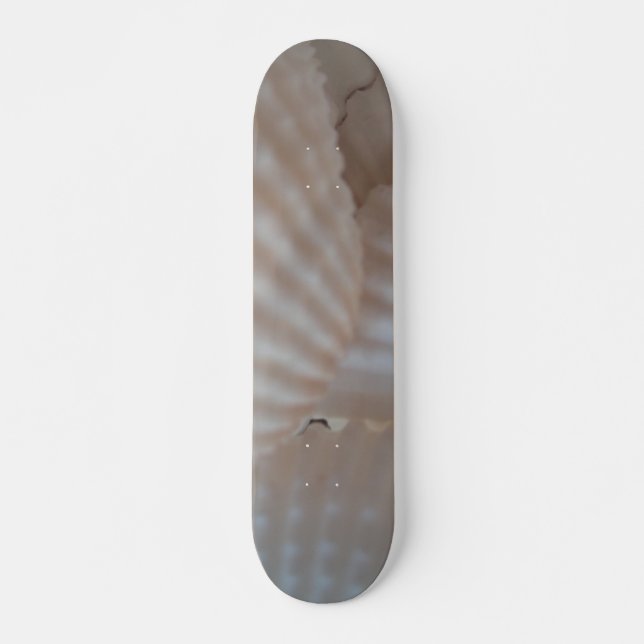 Sea Shells Summer Beach Exotic Tropical Skateboard (Devant)