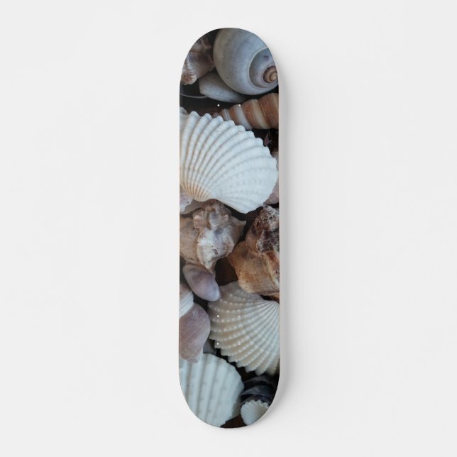 Sea Shells Summer Beach Exotic Tropical Skateboard (Devant)