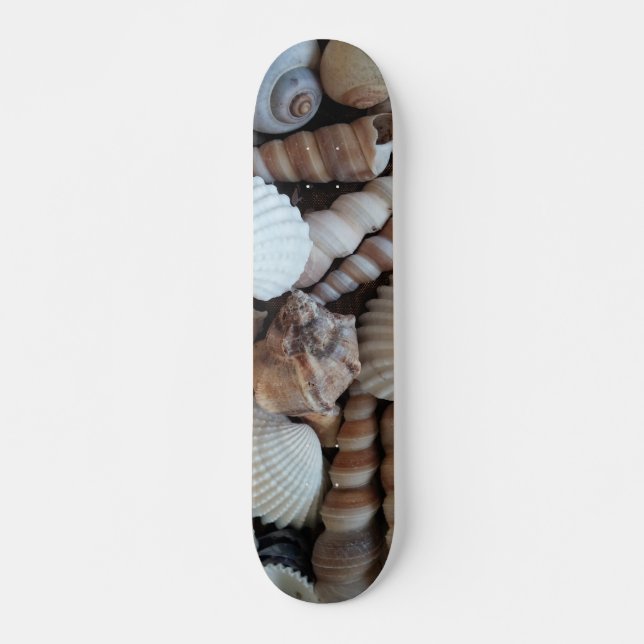 Sea Shells Summer Beach Exotic Tropical Skateboard (Devant)