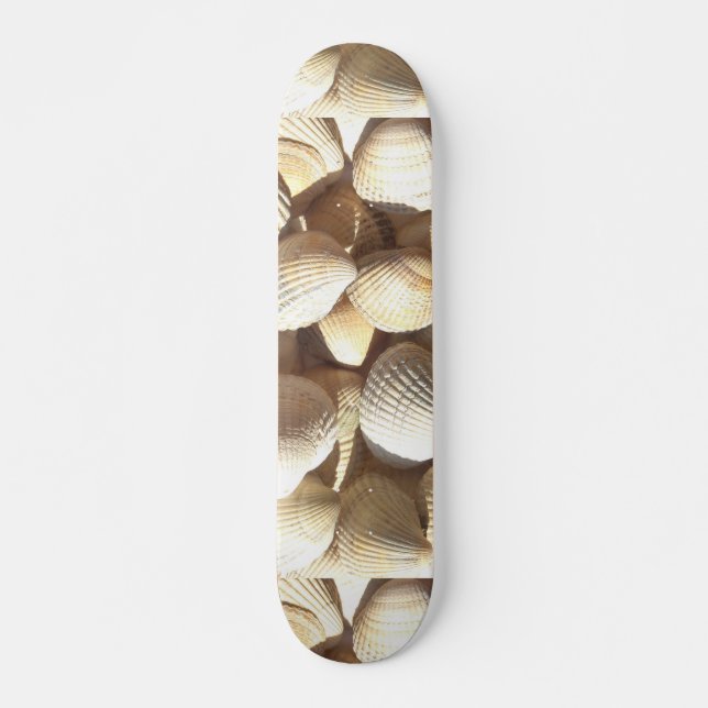 Sea Shells Summer Beach Exotic Tropical Skateboard (Devant)