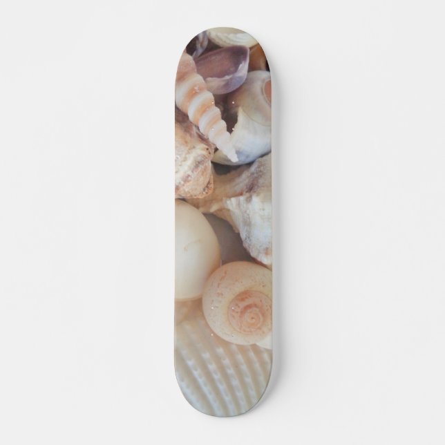 Sea Shells Summer Beach Exotic Tropical Skateboard (Devant)