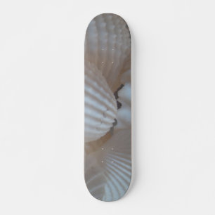 Sea Shells Summer Beach Exotic Tropical Skateboard