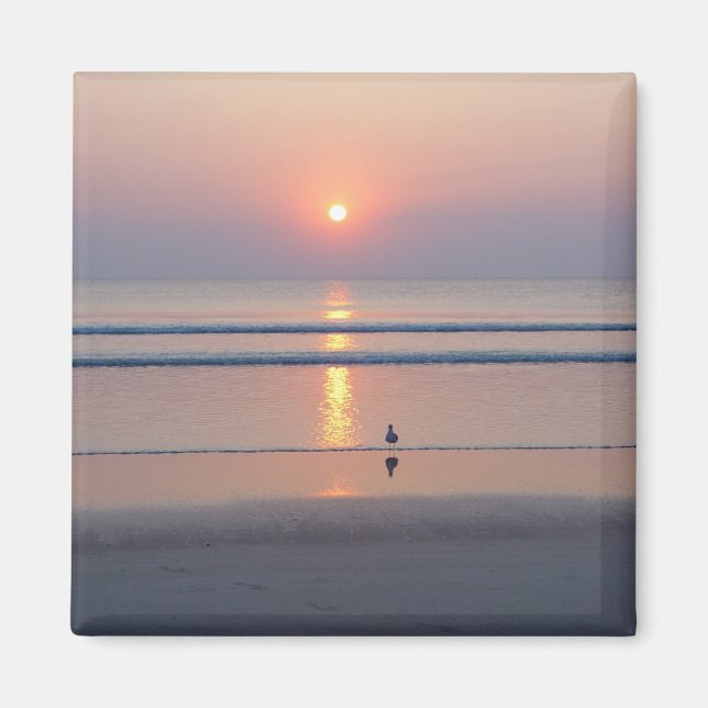 Seagull Daytona Beach FL Ocean Sunrise Magnet (Devant)