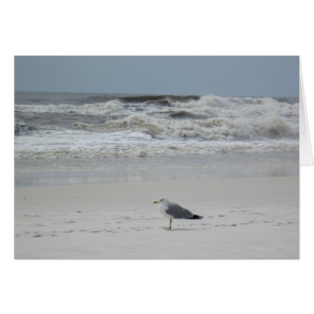Seagull on the Beach (Devant horizontal)