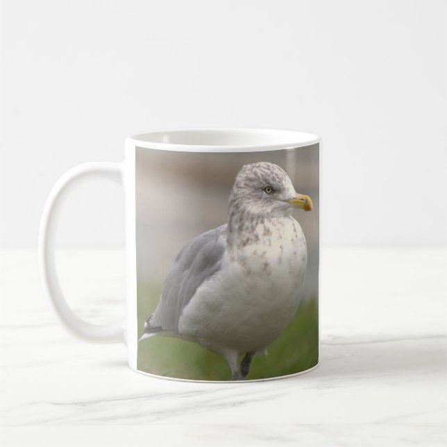 Seagull Photo Mug (Gauche)