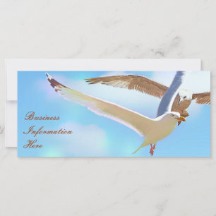 Seagulles dans le Signet Calendrier de vol 2012 vo