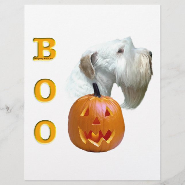 Sealyham Terrier Boo (Devant)