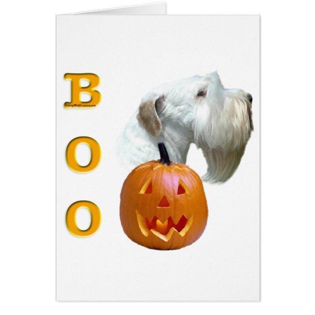 Sealyham Terrier Boo (Devant)