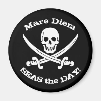 Seas the Day Pirate Magnet