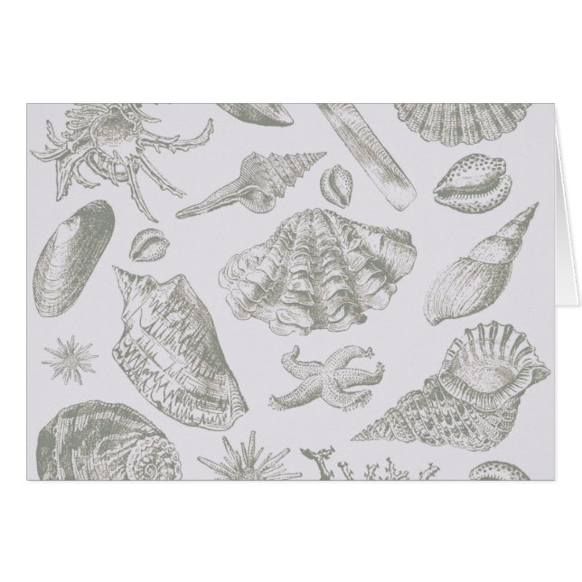 Seashell Soft Antique Art Beach Shops (Devant horizontal)