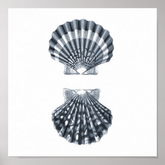 Seashells Vie marine Group12A print#4 décoration d