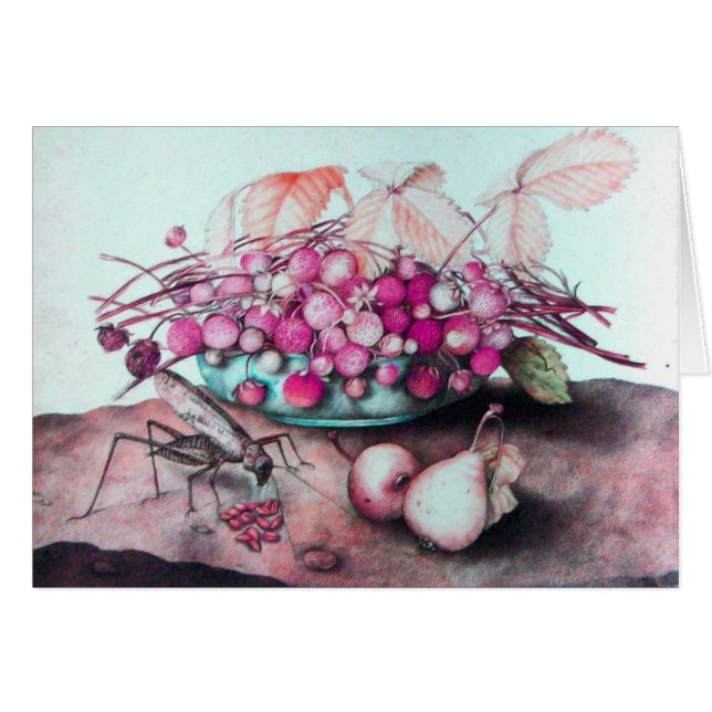 SEASON'S FRUITS /STRAWBERRIES AND PEARS (Devant horizontal)