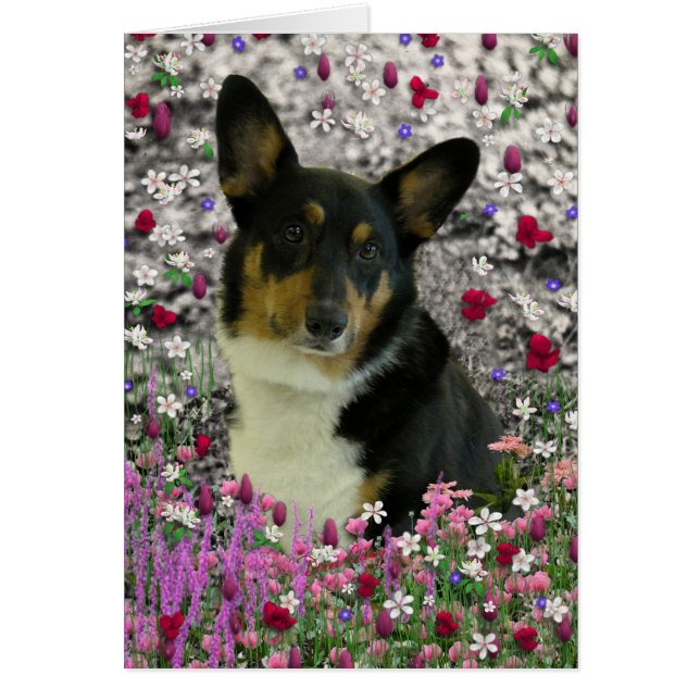 Sebastian le Corgi gallois en fleurs (Devant)