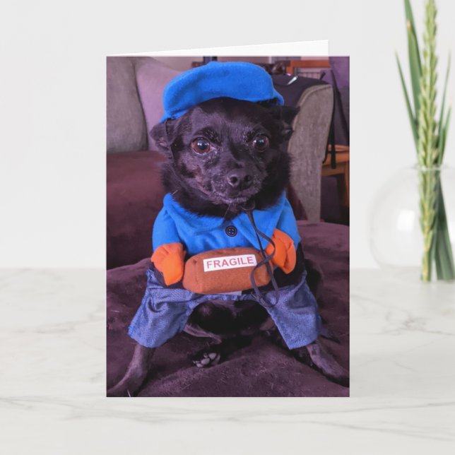 Secourez les chiens standard, carte de voeux pliée (Devant)