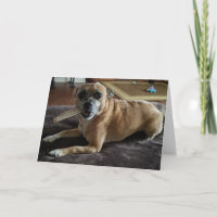 Secourez les chiens standard, carte de voeux pliée