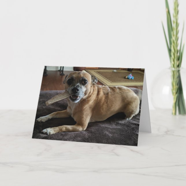 Secourez les chiens standard, carte de voeux pliée (Devant)