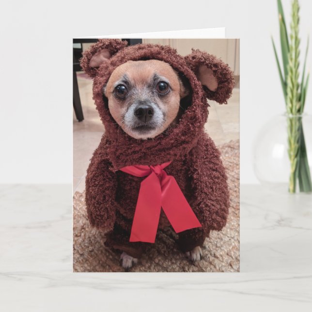 Secourez les chiens standard, carte de voeux pliée (Devant)