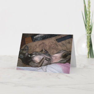 Secourez les chiens standard, carte de voeux pliée