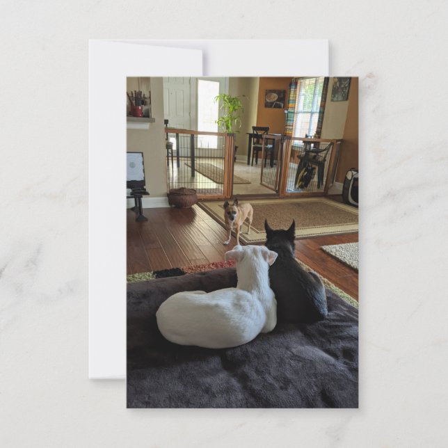 Secourir des chiens de 3,5 po x 5 po Carte de reme (Devant)