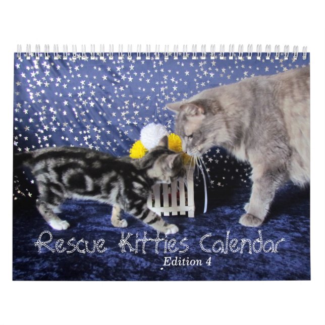 Secourir le calendrier Cat - Édition 4 (Protection)