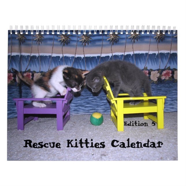 Secourir le calendrier Cat - Édition 5 (Protection)