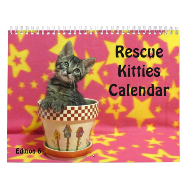 Secourir le calendrier Cat - Édition 6 (Protection)