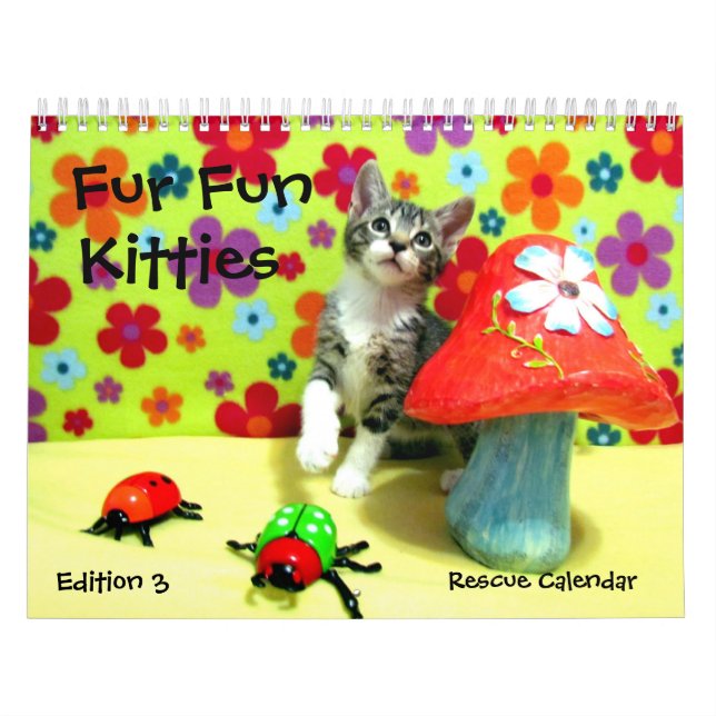 Secourir le calendrier des chats — Édition 3 (Protection)