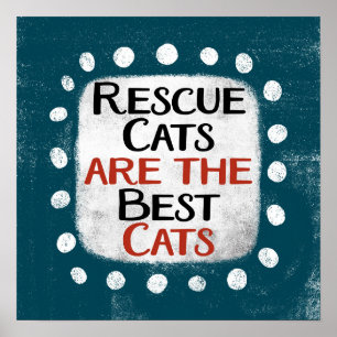 Secourir Les Chats Sont Les Meilleurs Chats Poster