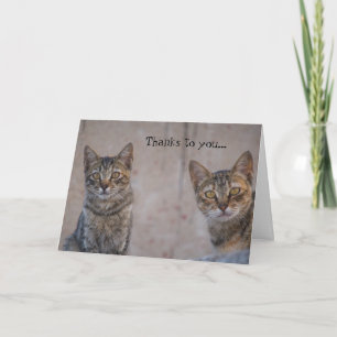 Secourt de chat Kitty Lover Carte de remerciements