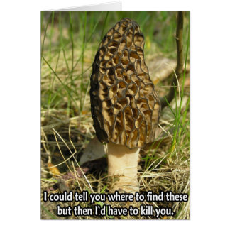 Secret du chasseur Morel