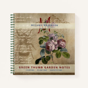 Secret Garden Roses Anciennes Journal des Jardinie