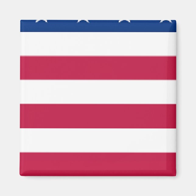 section 5 de 8 sections - DRAPEAU US - Aimant (Devant)