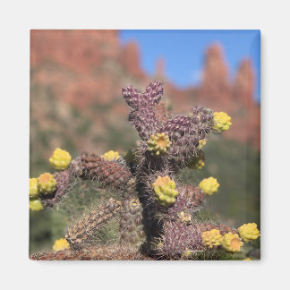 Sedona Cactus Désert Magnet