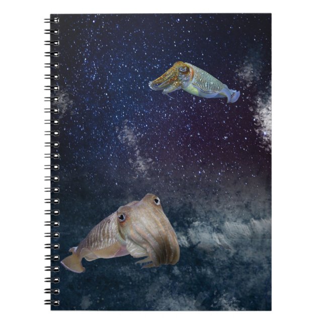 Seiches dans le carnet de l'espace (Devant)