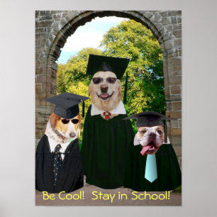Séjour drôle de chiens en affiche d'école